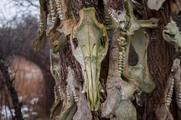 Bone totem in the middle of the forest