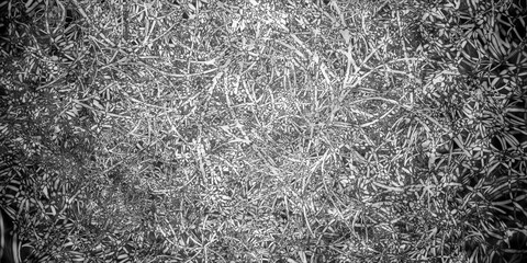 abstract grunge background bg art wallpaper texture stone concrete marble