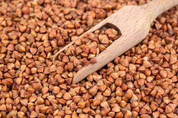 Buckwheat. Diet concept. Buckwheat on the white background.