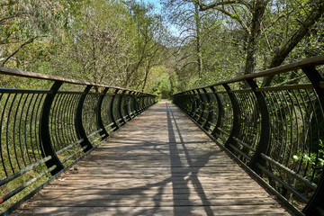 Puente de tablas de madera rodeado de un bosque