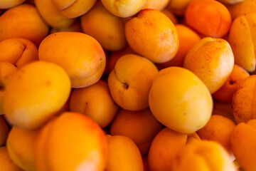 apricots on the market