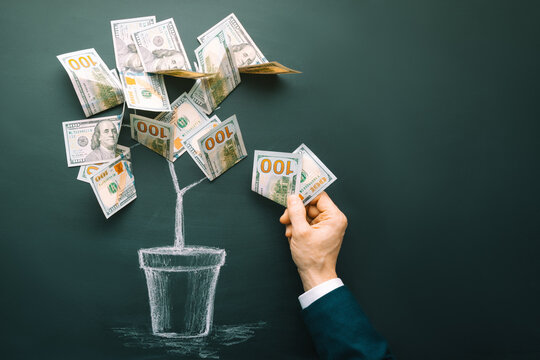 Money tree made by us dollar bills. Business, saving, growth, economic concept. Investors strategy, funding symbol. Copy space.