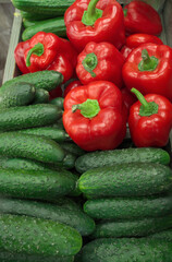 fresh cucumbers and red bell peppers as background. vegetables on the market.