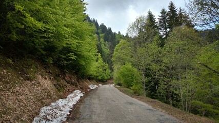 Obraz premium road in the mountains