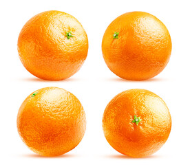 A set of four whole oranges in different angles isolated on a white background.