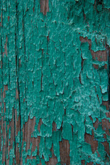 the texture of old wood covered with peeling paint.