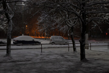cars at night stand on a snow-covered roadside under a layer of snow
