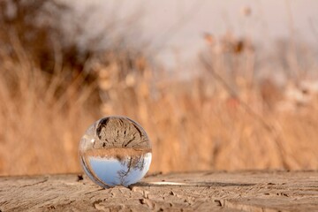 Glass lens ball showing inverted reflection of orange grasses and tree stump circles through a...