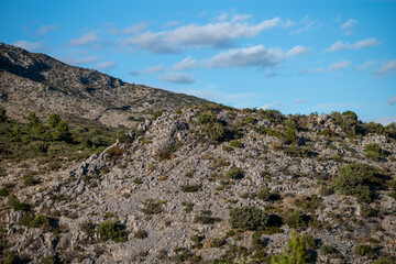 Fototapeta na wymiar landscape with blue sky