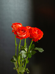Bouquet of red roses on dark background