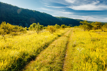 Tranquil green meadow in the Dniester canyon on sunny day.