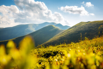 Fototapeta premium Idyllic summer day with green hills illuminated by the sun.