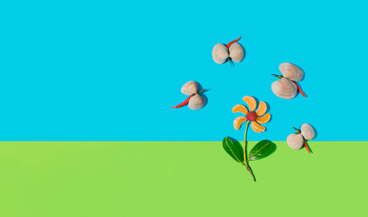 Fototapeta premium Arrangement created from tangerine slices with raspberry in the middle. Sea shells and chilli peppers peppers assembled together. From above on green and blue background. Copy space for text.