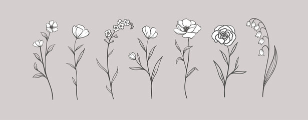 Set of Herbs and Wild Flowers. Hand drawn floral elements. Vector illustration © Oleksandra