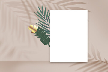 Tropical summer shadow overlay background