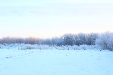 Fototapeta na wymiar beautiful cold winter morning at countryside