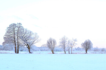 beautiful cold winter morning at countryside