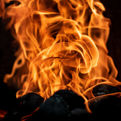 Fire flames burning