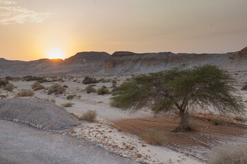 Sunset view in the desert of Israel