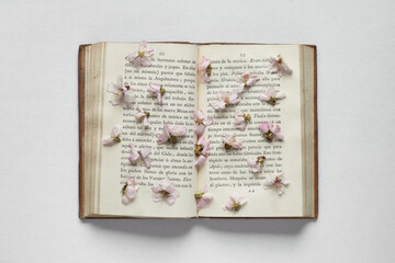 Old book with dried flowers between its pages. View from above.