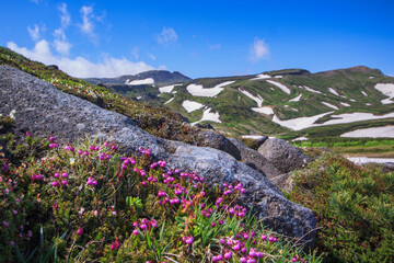 上川町　大雪山　