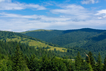 Obraz premium Summer nature landscape of Karpaty Mountains. a