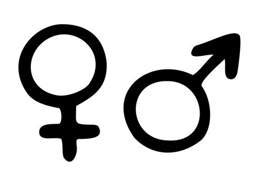 Vector Illustration Of Gender Symbols, Female And Male. Hand Drawn Elements, Isolated On White Background.