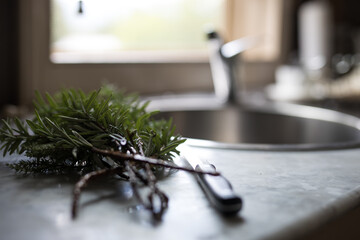 Rosemary herb in kitchen for cooking