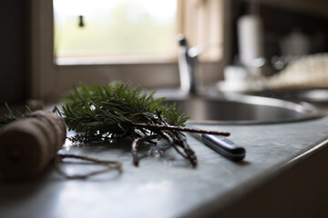 Rosemary herb in kitchen for cooking
