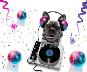 Selbstklebende Fototapete Lustiger Hund dj disco tanzen musik club party spiegelkugel
