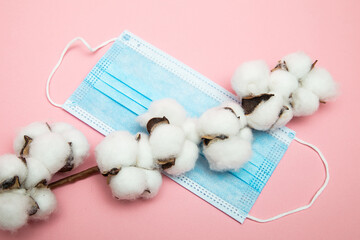 Cotton plant flower with protective medical mask for face on pink background. Surgical mask, medical mask.