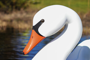 white swan pedal boat on the lake