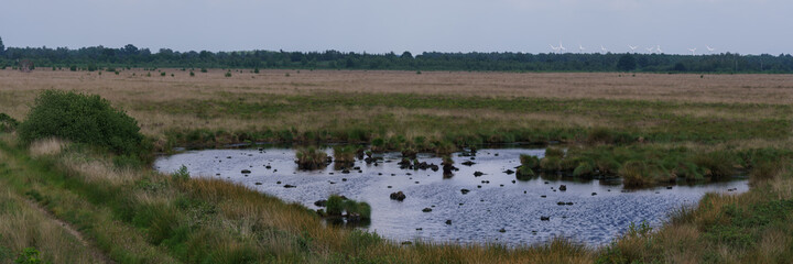 Panorama of small moor lake in flat landscape, Germany, Recker Moor