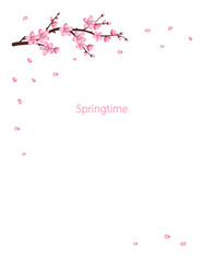 Cute Sakura flowers icon set