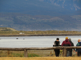 Happy friends stands with raised arms against sunet mountains