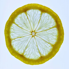 A macro shot of a lemon slice on a Lightbox
