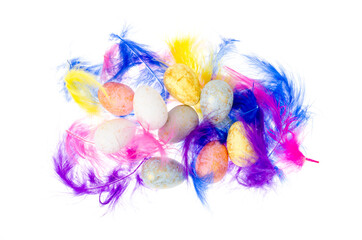 Decorative colored eggs and feathers on white background