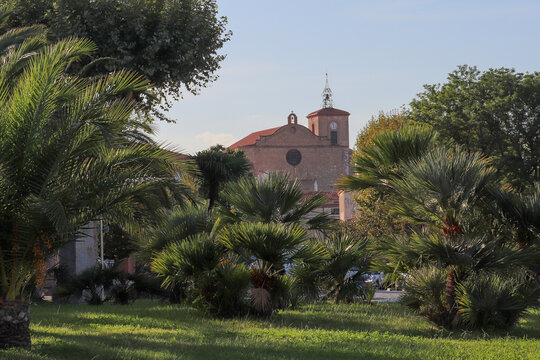 Occitanie - Languedoc Roussillon - Pyr&eacute;n&eacute;es-Orientales - Thuir - Eglise Notre-Dame de la Victoire