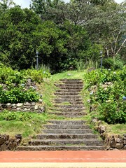path in the garden