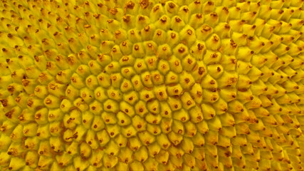 yellow fruit, texture, nature, produce, veggie, vegetable, vegetarian, organic, macro, close-up, detail, blossom, pattern, abstract, beautiful