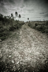 Naklejka na ściany i meble Rural dirt road through tropical Caribbean island landscape seen from Puerto Rico