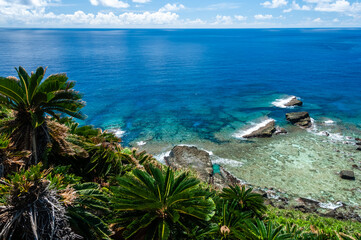 Stunning landscape  seen from a cliff where you can see a lush coral reef, rocks formation, a breathtaking transparent blue sea horizon and come sago palm on foreground. Yonaguni Island.
