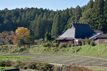 Fototapeta na wymiar 秋の京都大原