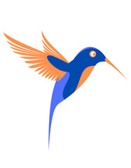 Colorful Blue Humming Bird