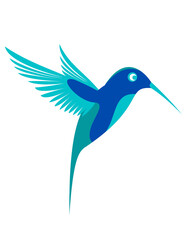 Obraz premium Light Blue and Dark Humming Bird