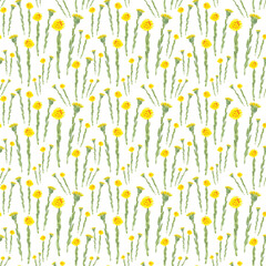 Seamless pattern with watercolor yellow spring flowers on white background