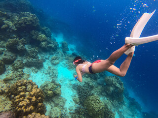 traveller is snorkeling to sea coral