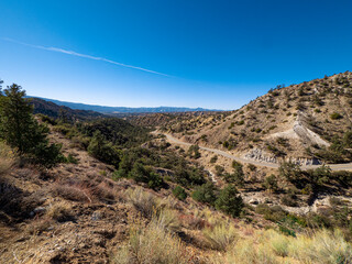 Winding road cutting Through Frazier Park Forest in California