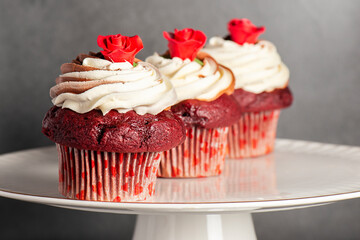Valentine's Day themed red velvet cupcakes with chocolate and vanilla buttercream icing