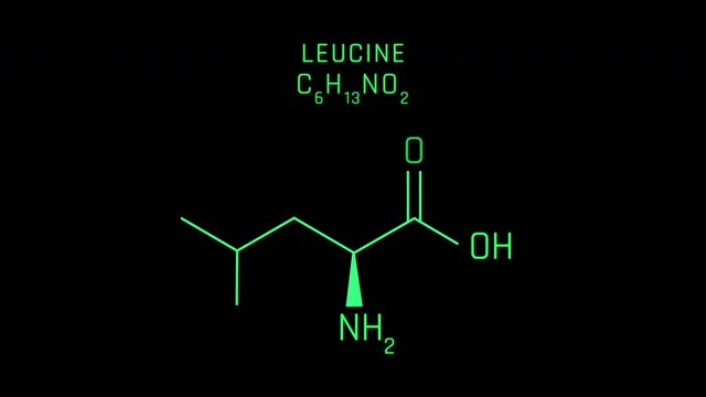 Leucine Molecular Structure Symbol Neon Animation on black background